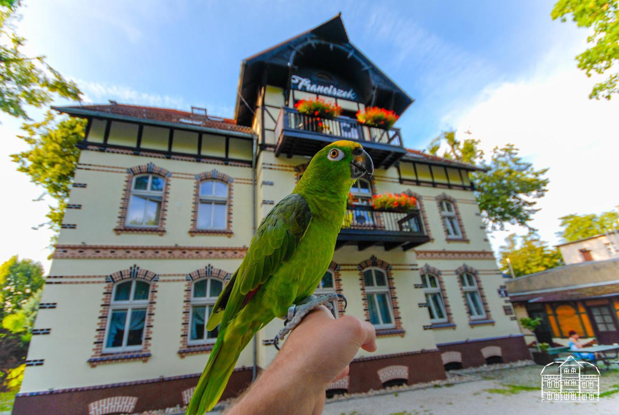 Franciszek Apartman Szczawno-Zdroj Kültér fotó
